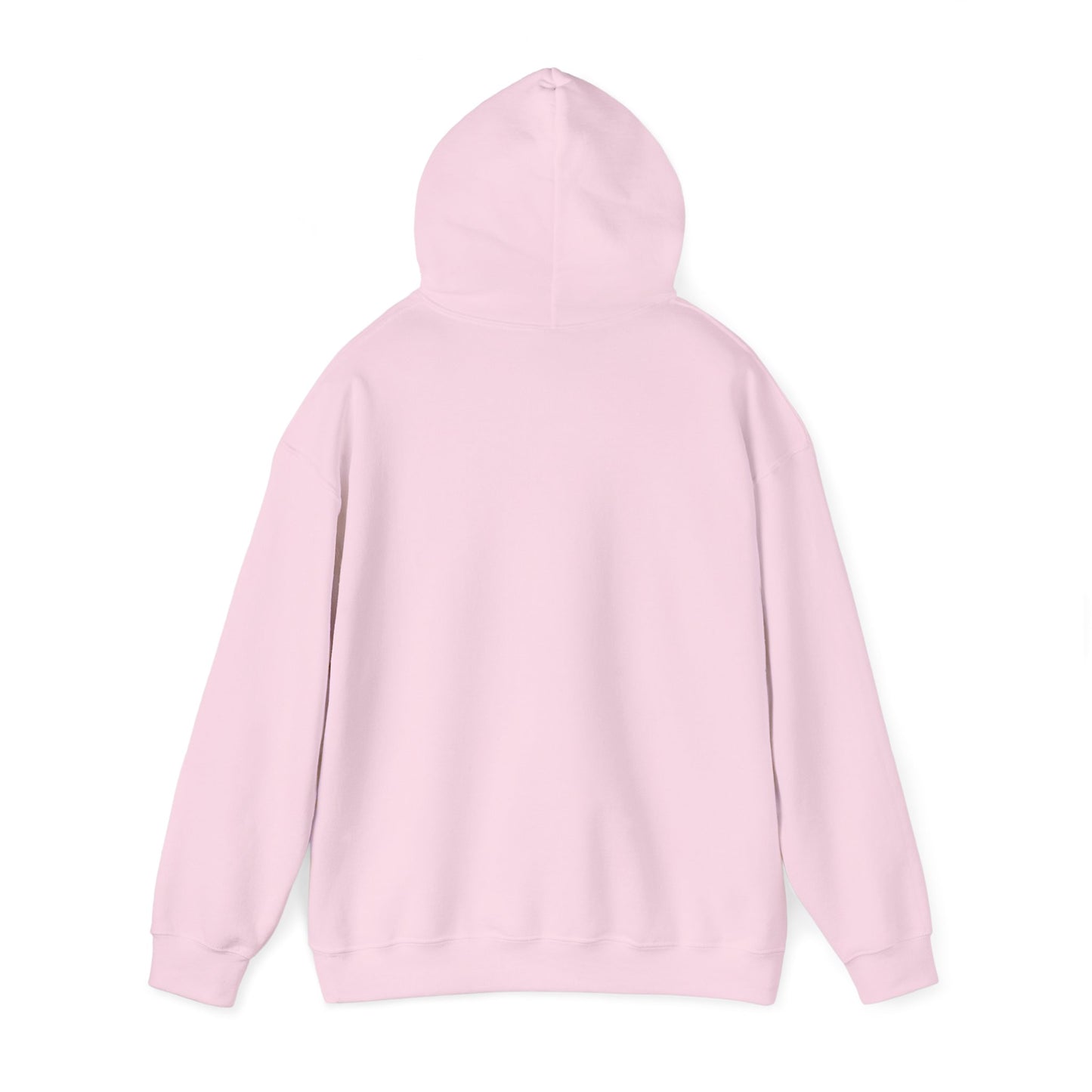 Sudadera con capucha Stryde Everyday 