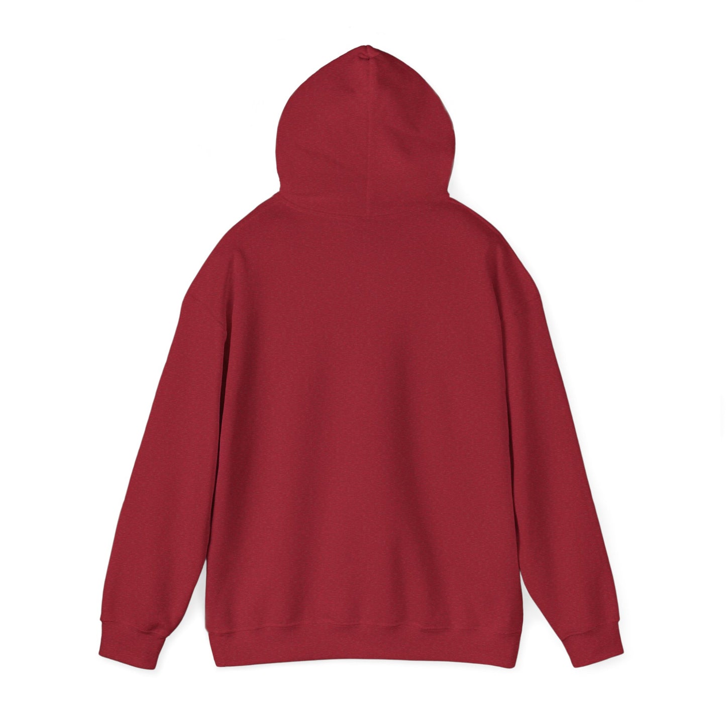 Sudadera con capucha Stryde Everyday 