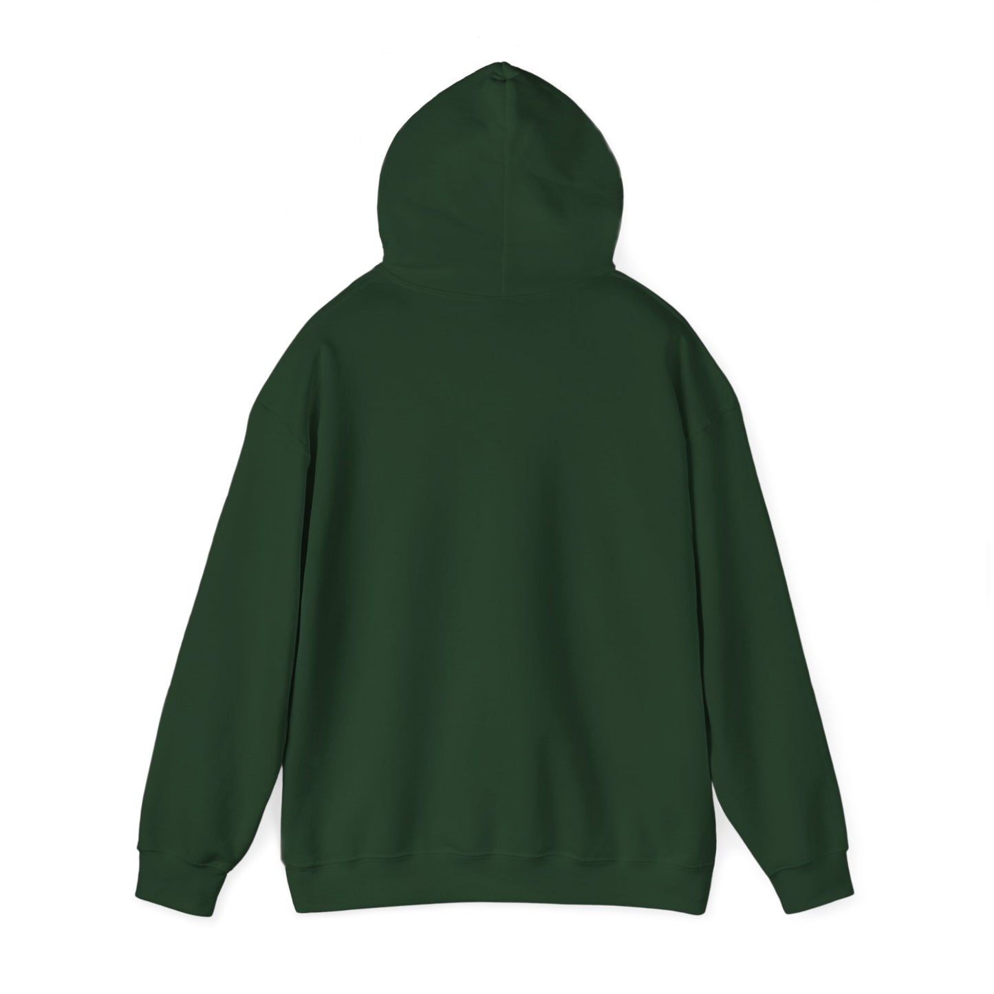 Sudadera con capucha Stryde Everyday 